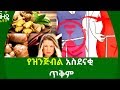 Ethiopia:- የዝንጅብል አስደናቂ ጥቅም | Nuro Bezede Girls