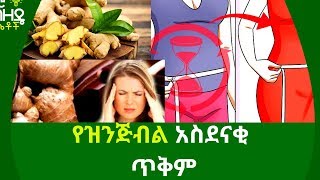 Ethiopia:- የዝንጅብል አስደናቂ ጥቅም | Nuro Bezede Girls