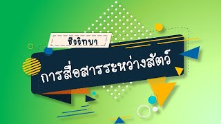 การสื่อสารระหว่างสัตว์ วิชาชีววิทยา ม.6