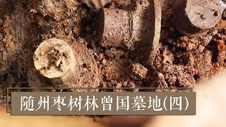 造型奇特的车马器究竟有何用途？ 《2019考古进行时》第三季 随州枣树林曾国墓地（四）| 中华国宝