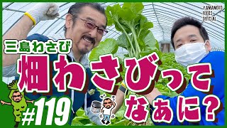 【比較】畑わさびってなぁに？水（沢）わさびの違いを分かりやすく説明【わさびチャンネル119】