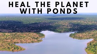 Heal the Planet with PONDS