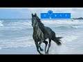 Magic Navigation Menu indicator using HTML CSS and JavaScript | hover effects with curve border
