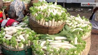 বাজারে শীতের সবজি আসছে | Early winter vegetable farming