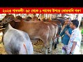 ৬৫ থেকে ১ লাখের উপরে কোরবানি গরু ! গাবতলী হাট 2023|| Gorur haat 2023 || কৃষি ঘর