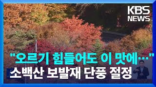 굽이굽이 단풍길…소백산 자락 단양 '보발재' 단풍 절정 / KBS  2022.10.21.