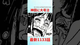 【最新1133話】ロビンとサウロの再会が神回すぎた件【ワンピース】#ワンピース #ワンピースの反応集まとめ