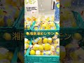 【小田原市初！冬の農産物フェア】かなこまちの試食販売など盛りだくさん！ shorts