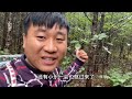 采蘑菇上瘾啊 记录真实生活 vlog