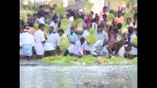 R KAVANOOR SRI MUTHUMARIYAMMAN KOVIL FUNCTION PART 2-4