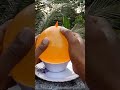 water freezing science expirement simple experiment with balloon and water trending shorts