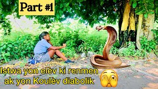 YON ELEV LEKOL KI RENMEN AK YON KOULÈV DIABOLIK (PART #1 )