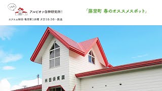 「藤里町 春のオススメスポット」【こちらアルビオン白神研究所！】