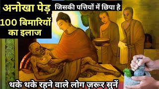 आयुर्वेद की अद्भुत शक्ति रोज एक चम्मच खाएं | Health tips | Buddhist inspirational story