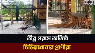 তীব্র গরমে অতিষ্ঠ চিড়িয়াখানার প্রাণী | Zoo Animals | Heat Wave |Barta24