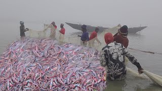 প্রচন্ড ঘন কুয়াশা ও কনকনে শীতের সকালে নদীতে নেমে লাল চেউয়া মাছ ধরা/Fish catching। Fishing video 2025