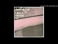 Gudrun Gut - Pleasuretrain