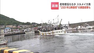 名物復活なるか「スルメイカ漁」解禁で函館から出漁　北海道岩内町の港ではマチの新特産品を目指して養殖の“トラウトサーモン”水揚げも