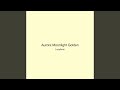 Aurora Moonlight Golden