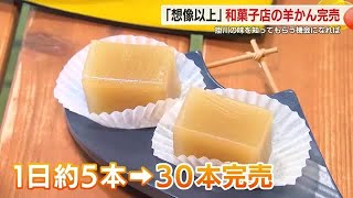 【王将戦七番勝負第1局】藤井七冠が1日目午前に選んだ「よこすかしろ羊かん」大反響　掛川の味を知ってもらう機会になれば