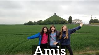 What is Amis? | How to Say Amis in English? | How Does Amis Look?