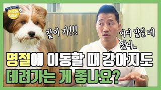 명절에 이동할 때 강아지도 데려가는 게 좋나요?｜강형욱의 소소한 Q\u0026A