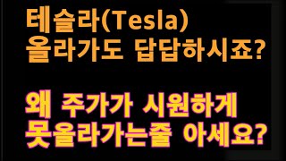 테슬라(Tesla) 올라가도 답답하시죠? / 왜 주가가 시원하게 못올라가는줄아세요?