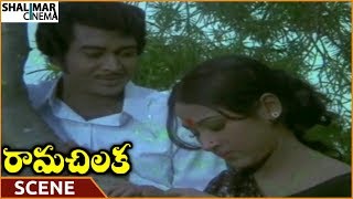 Rama Chilaka Movie || Ranganath Requests To Get Marriage || Vanisri, Ranganath || Shalimarcinema