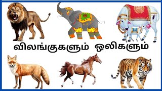 விலங்குகளும் ஒலிகளும்/ANIMALS SOUNDS/நாய் குரைக்கும்/குதிரை கனைக்கும்/சிங்கம் முழங்கும்/புலிஉருமும்