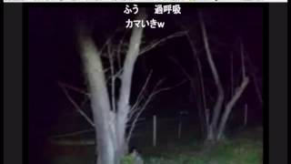 【SD】心霊スポット外配信 「秋ヶ瀬公園」6　ローリングステップ