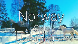 OSLO MOST AMAZING PARK! 4K🇳🇴 EKEBERGPARKEN🇳🇴4K ART!