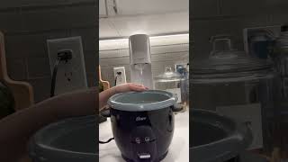 Honest Review of Oster Rice Cooker