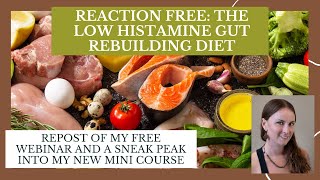 REACTION FREE: The Low Histamine Gut Rebuilding Diet