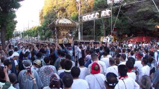 大井・鹿島神社例大祭2011（宮元神輿）