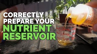 How to Prepare Water For Hydroponics [Updated]