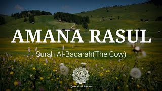 Amana Rasul | English Translation | Mufti Menk