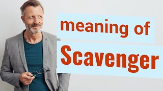 Scavenger | Definition of scavenger 📖 📖