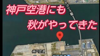 【神戸空港ショアジギング】　9月～秋　青物　太刀魚　釣れてます　＃ショアジギング　＃青物　＃太刀魚　＃初心者