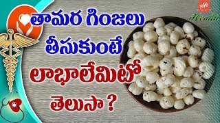 Lotus Seeds Health Benefits | Phool Makhana Health Benefits in Telugu | YOYO TV Health