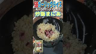 【高火力ロケットストーブ】SBガーリックライスシーズニングでガーリック炒飯作ります。