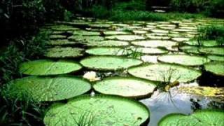 Musica del Dpto. de Amazonas (Colombia)