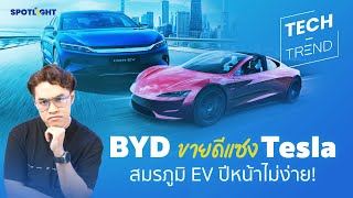 BYD ขายดีแซง Tesla สมรภูมิ EV ปีหน้าไม่ง่าย! | SPOTLIGHTTH