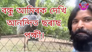 পত্নীয়ে স্বামীক পাহৰে,বন্ধুৱে বন্ধুক পাহৰে কিন্তু  ছৰাছে আমিৰক পাহৰিব নোৱাৰে। @Opinionstudio