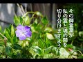 神の武具をつける祈り〜armor of god prayer in japanese　エペソ6 10 18