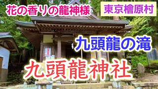 [東京][龍神特集]〜前編〜九頭龍神社✨本当に東京？秘境の地にある龍神神社２社巡り〜九頭龍の滝で癒される♪