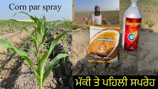 Corn par pehli spray//ਮੱਕੀ ਤੇ ਪਹਿਲੀ ਸਪਰੇਹ ਮੱਕੀ ਹੋਗੀ 15 ਦਿਨਾ ਦੀ//SEERA DHILLON