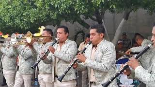 Popurri de sones banda perla de Michoacán