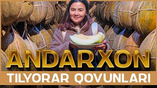 ANDARXON TILYORAR QOVUNLARI / MUHABBAT BILAN