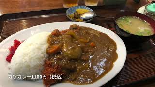 のざきドライブイン（栃木県大田原市）カツカレー