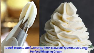 Homemade Whipping Cream |മൈദയും ഗോതമ്പ് പൊടിയും ഒന്നും വേണ്ട..കേക്കിനുളള ക്രീം വീട്ടിൽ ഉണ്ടാക്കാം